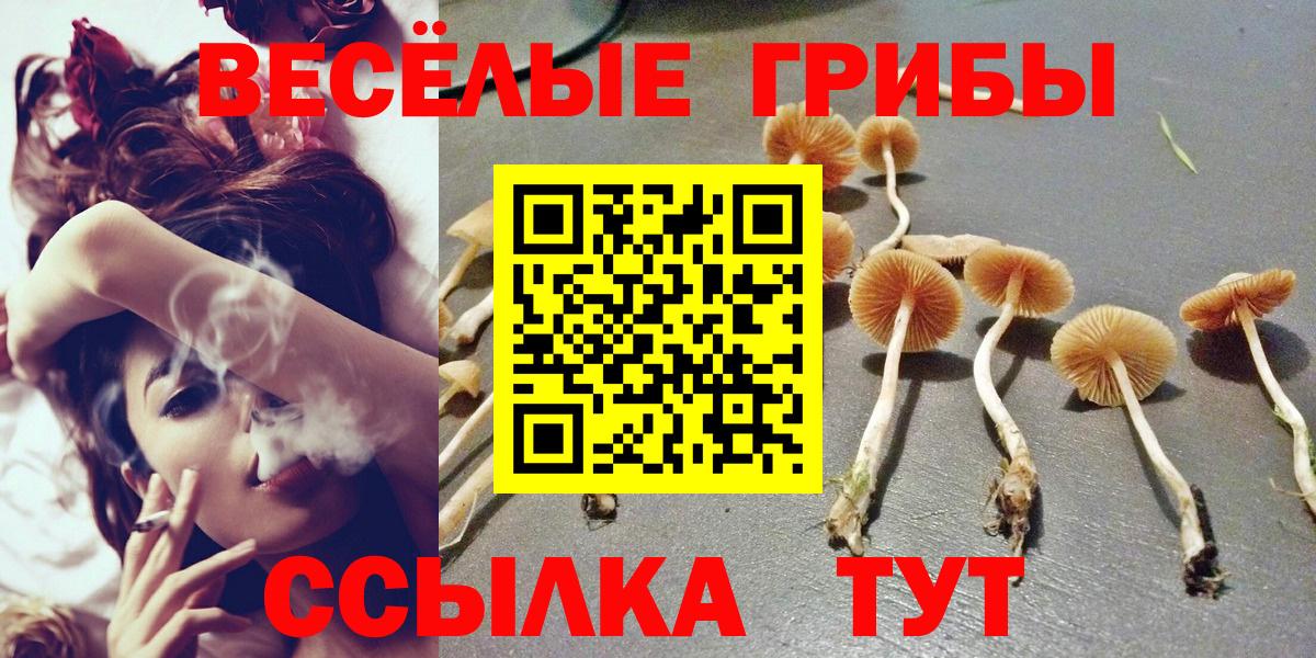 Псилоцибиновые грибы мицелий Балаково
