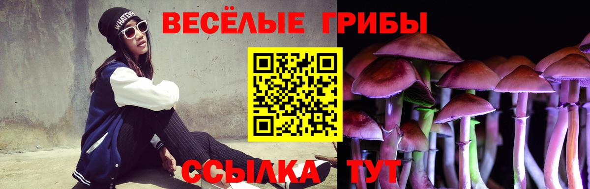 Балаково  Галлюциногенные грибы Psilocybine cubensis  Вход с VPN 