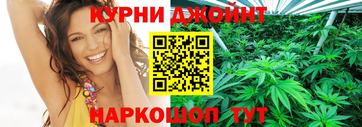 Каннабис OG Kush Балаково